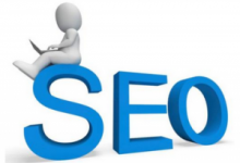 seo咨询服务评价如何在比赛？拉票,网络投票软件app