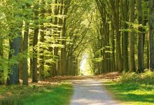 如何寻找微信群来提升互助投票数量，微信群投票多少钱