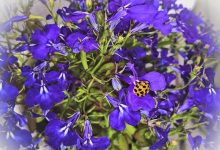 说说现在的微信投票刷票器价格多少，通过刷票软件拉票点赞安全吗。