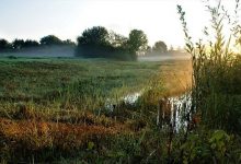 微信公众号刷票收费吗，微信人工投票免费还是收费?