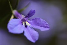 微信互投群号怎么找，如何加入互投群啦买票拉票