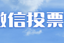 微信投票刷，人工投票有多少票？