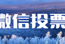 微信投票系统刷票，微信投票刷票哪个好？