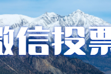 微信投票软件怎么刷，用钱投票一票多少钱？