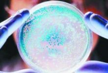 微信汽车票助力砍价,如何检测微信刷票？