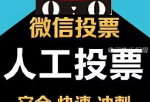 微信投票多少钱一票(投票多少钱一票)