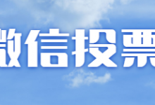 你在微信上用什么软件投票，有哪些纯人工投票平台？